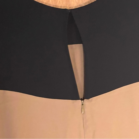 T. Babaton Aritzia 100% SILK MOD color block shift dress - Picture 5 of 8